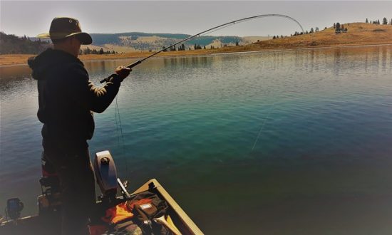 Fly Fishing Tips That Will Make You a Better Fisher