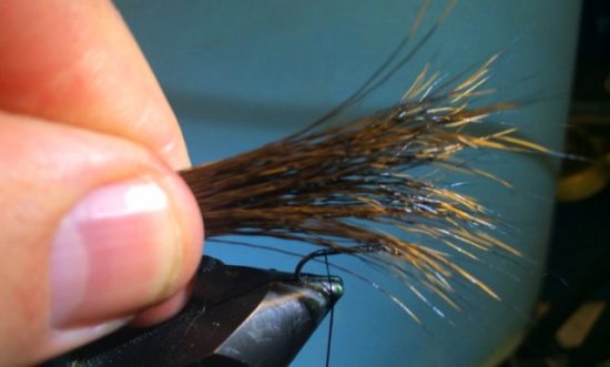 CDC Sedgehog Caddis Adult Fly Pattern