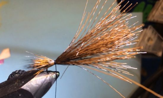 CDC Sedgehog Caddis Adult Fly Pattern