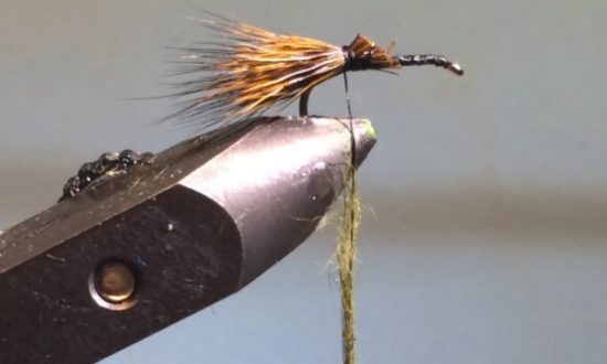 CDC Sedgehog Caddis Adult Fly Pattern