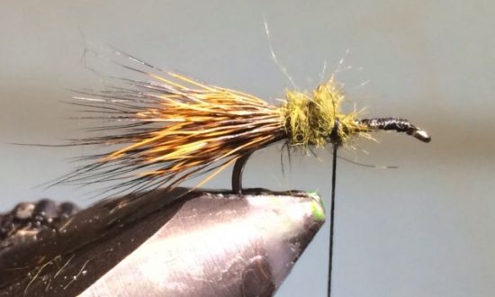 CDC Sedgehog Caddis Adult Fly Pattern