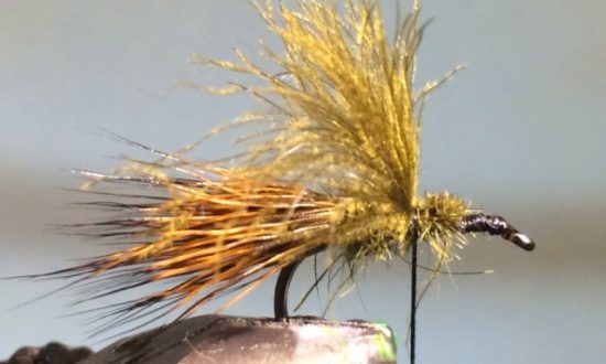 CDC Sedgehog Caddis Adult Fly Pattern