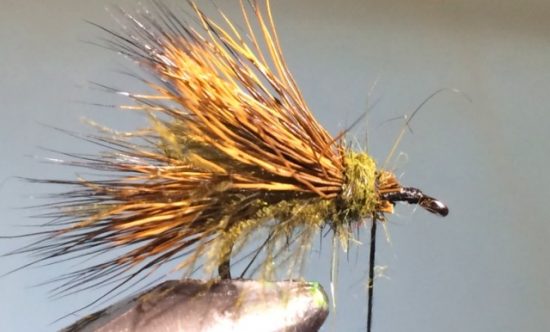 CDC Sedgehog Caddis Adult Fly Pattern