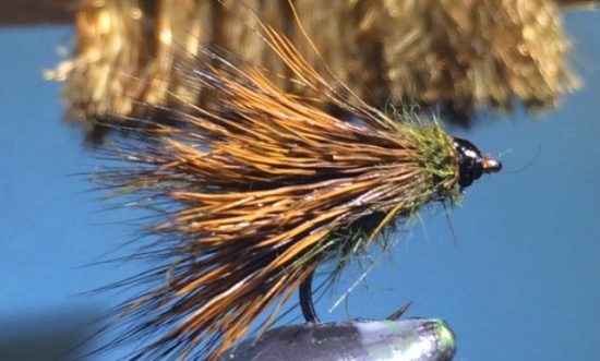 CDC Sedgehog Caddis Adult Fly Pattern