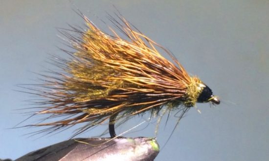 CDC Sedgehog Caddis Adult Fly Pattern