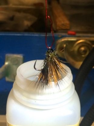 CDC Sedgehog Caddis Adult Fly Pattern