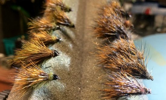 CDC Sedgehog Caddis Adult Fly Pattern