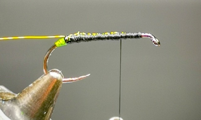 Green Haze Soft Hackle Caddis Pupa step 1