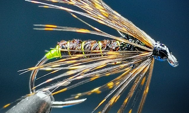 Green Haze Soft Hackle Caddis Pupa step 4