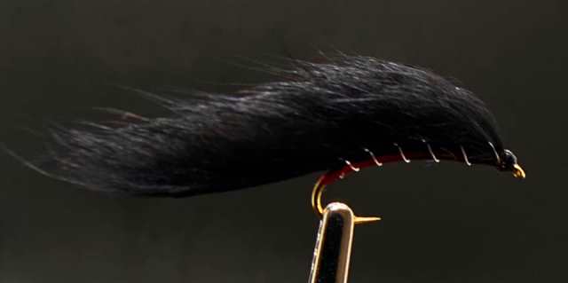 Fly Tying: Strip Leech 