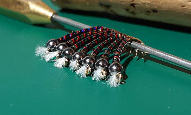 Window Washer Pornomid Chironomid Fly