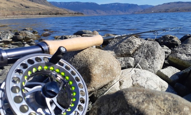 TFO LK Legacy Fly Rod Review