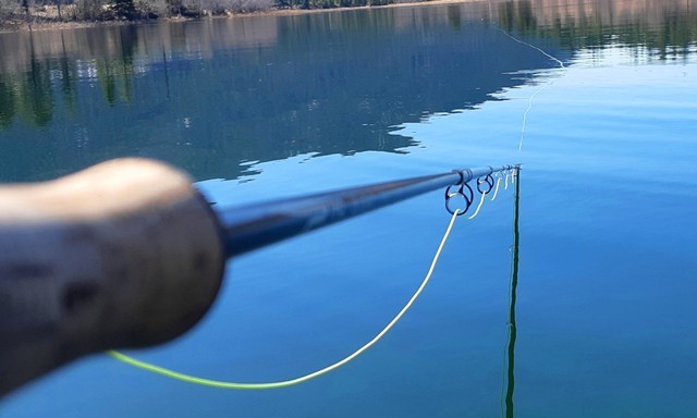 Dragonfly Floating Fly Line