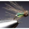 Shiney Hiney Caddis Pupa Fly Pattern