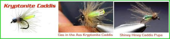 Shiney Hiney Caddis Pupa Fly