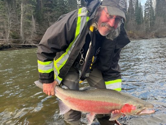 Steelhead Valhalla - Fly Fishing the Babine River - Steelhead 4