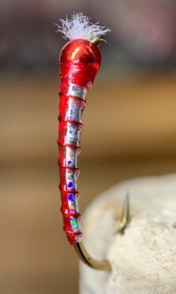 chironomid larva bloodworm fly, flyguys.net