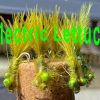Electric Lettuce Damselfly Nymph Fly Pattern