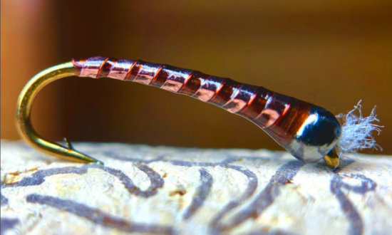 Perfect Fly Syndrome - Brown & Bronze Chironomid Pupa Fly Pattern