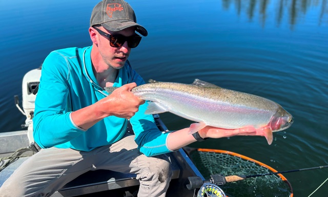 Flattening the Fly Fishing Learning Curve - Beauty Pennask Rainbow Trout